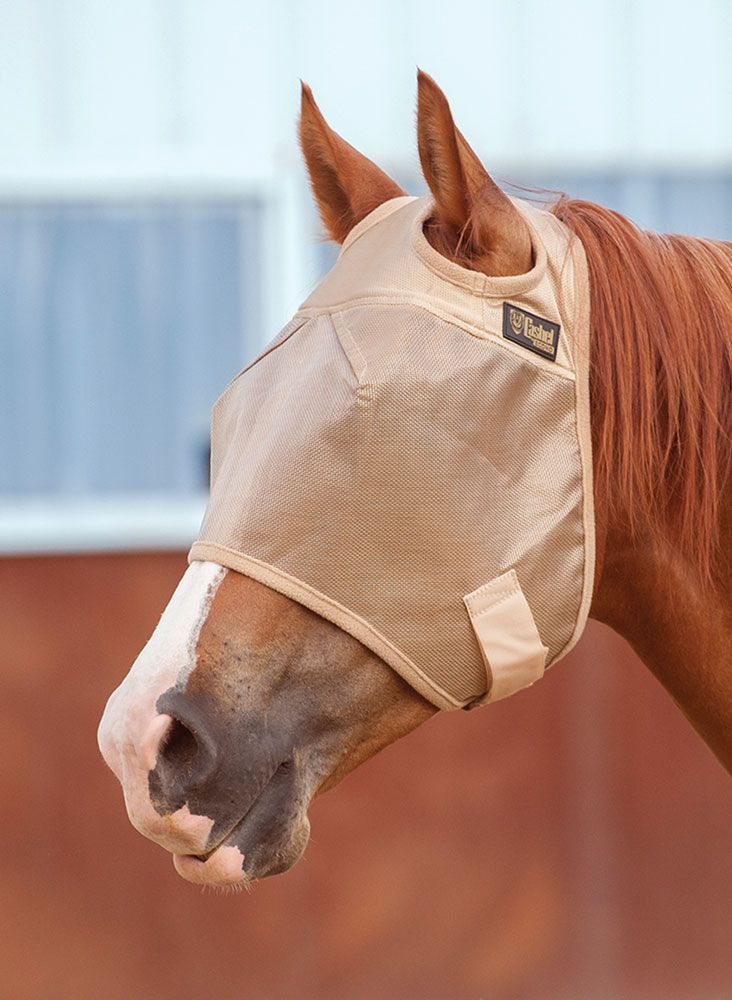 Cashel Econo Fly Mask Without Ears