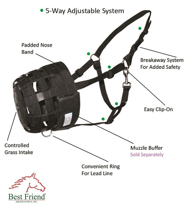 Best Friend Deluxe All-In-One Muzzle Grazing Muzzle