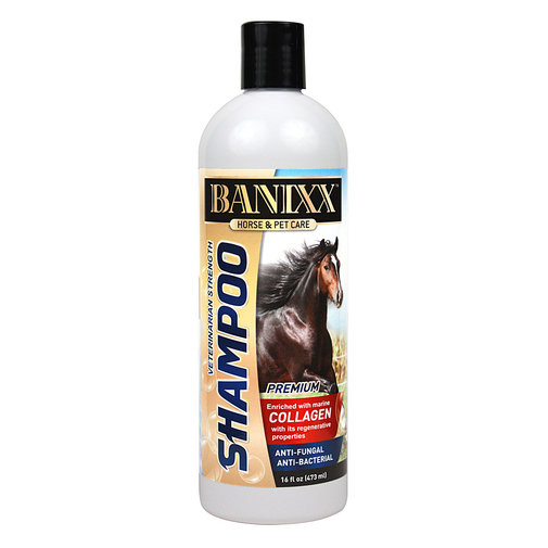 BANIXX SHAMPOO HORSE & PET CARE 16 OZ