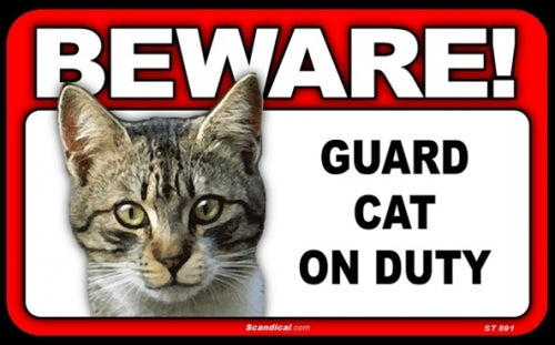 BEWARE Guard Cat pn Duty Sign - Tabby Cat