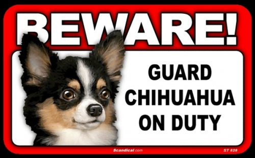 BEWARE Guard Dog on Duty Sign - Chihuahua - Long Haired