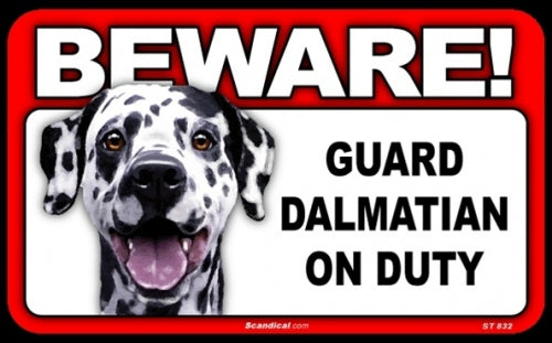 BEWARE Guard Dog on Duty Sign - Dalmatian