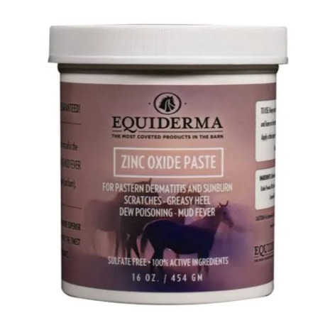 Equiderma Zinc Oxide Paste, 16oz