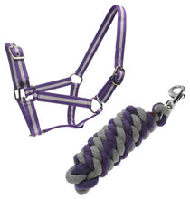 Load image into Gallery viewer, ROMA Halter and Lead Rope Set - ROMA Headcollar and Lead Rope Set
