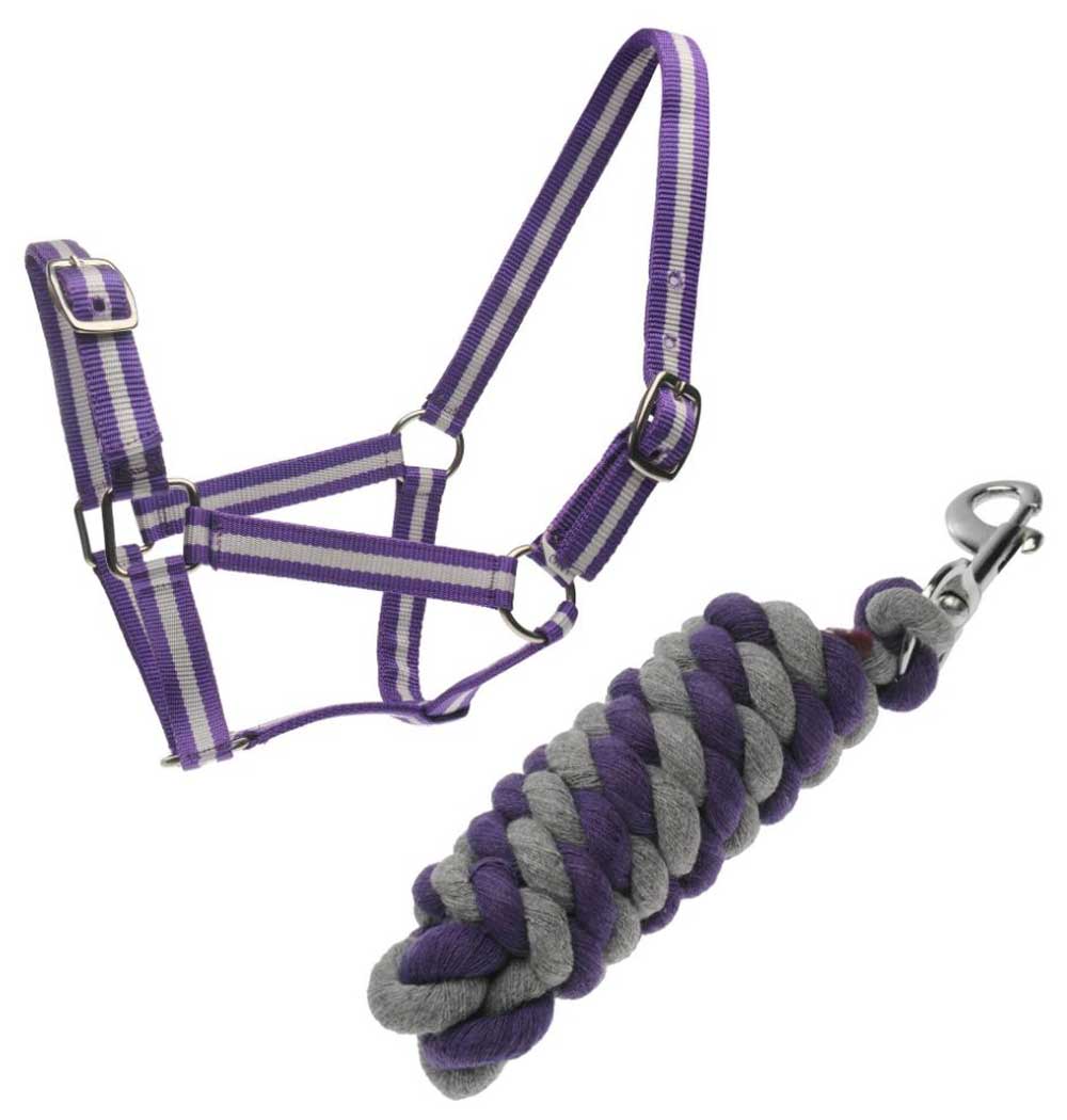 ROMA Halter and Lead Rope Set - ROMA Headcollar and Lead Rope Set