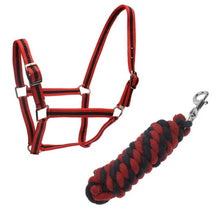 Load image into Gallery viewer, ROMA Halter and Lead Rope Set - ROMA Headcollar and Lead Rope Set
