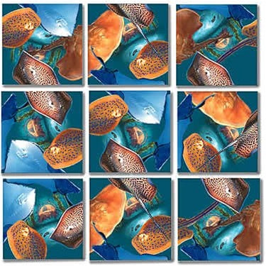 Stingrays Scramble Squares